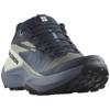 Salomon genesis