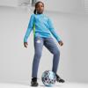 Puma mcfc training pants jr