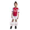 adidas ajax amsterdam 25/26 mini-thuistenue kids