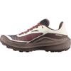 Salomon genesis 2 hardloopschoenen