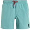 Protest culture jr beachshort