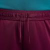 Nike paris saint-germain dri-fit strike short 24/25