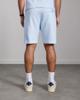 Aeden Shorts A22242833