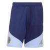 adidas ajax amsterdam 26/27 tiro26 training shorts