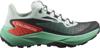 Salomon genesis