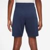 Nike paris saint germain strike dri-fit knit short