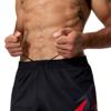 Speedo medley logo watershort 16 shorts
