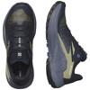 Salomon genesis