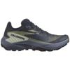 Salomon genesis