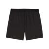 Puma x hyrox dryelite 5i shorts