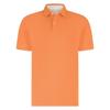 Born with Appetite Polo BWA26108YA17