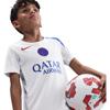 Nike psg strike third