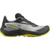 Salomon genesis trail hardloopschoenen
