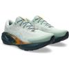Asics novablast 5 tr