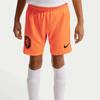 Nike nederland 2026 stadium kids uitshort