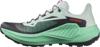 Salomon genesis