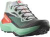 Salomon genesis