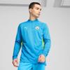 Puma mcfc training 1/4 zip top