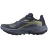 Salomon genesis