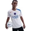 Nike psg strike third
