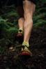 Falke  ru4 endurance cool short men running