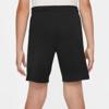 Nike dri-fit strike short