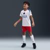 Nike psg strike third