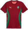 Puma frmf prematch ss jersey