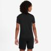 Nike dri-fit academy shirt