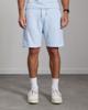 Aeden Shorts A22242833