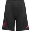 Adidas liverpool fc tiro 25 competition training short kids