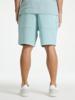 Chasin Shorts 231300050-E62