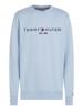 Tommy Hilfiger Sweater MW0MW11596C1O