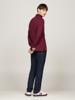 Tommy Hilfiger Polo MW0MW20183VLP