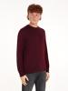 Tommy Hilfiger Trui MW0MW28046VLP