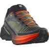 Salomon genesis 2 hardloopschoenen