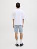 Jack & Jones Shorts 12269609