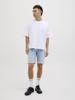 Jack & Jones Shorts 12269609