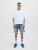 Jack & Jones Shorts 12269603
