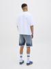 Jack & Jones Shorts 12269603