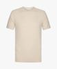 Profuomo T-Shirt PPXT10001A