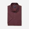 OLYMP Dress shirt 1263/72/87