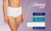 Sloggi Control Maxi