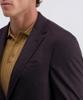 Pierre Cardin Colbert C4 42296.6031_4313