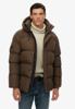 Superdry Jack M5012285A