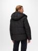 VERO MODA Jack 10311315
