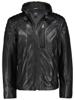Donders 1860 Jack 52648