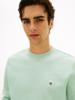 Tommy Hilfiger Sweater met ronde hals  MW0MW37237MAI Crushed Mint