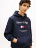 Tommy Hilfiger Sweater MW0MW42735DW5