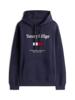 Tommy Hilfiger Sweater MW0MW42735DW5